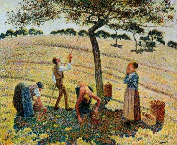 CAMILLE PISSARRO - LA CUEILLETTE DES POMMES
